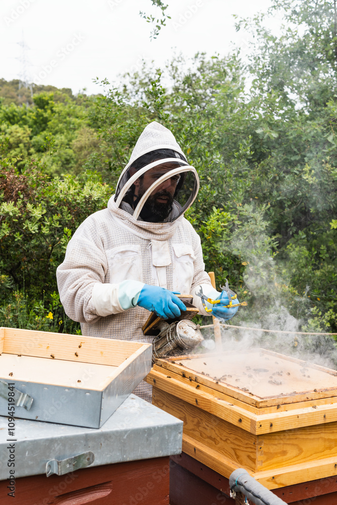 Beekeeper in protective gear using smoker to inspect beehive in apiary on a sunny day Beekeeper in protective gear using smoker to inspect beehive in apiary on a sunny day
