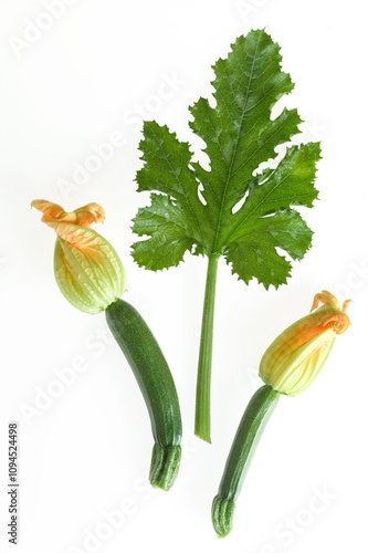 Courgettes en fleur photo