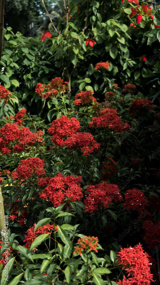 Naklejka premium Red Flowers surrounded by Greenery