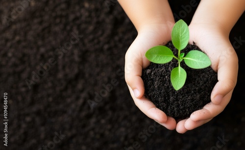Hands holding a young plant in rich soil during daylight at a gardening location