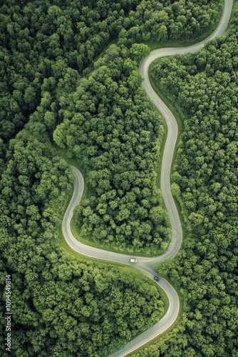 Quiet drive along a tree lined road in bright daylight with greenery all around