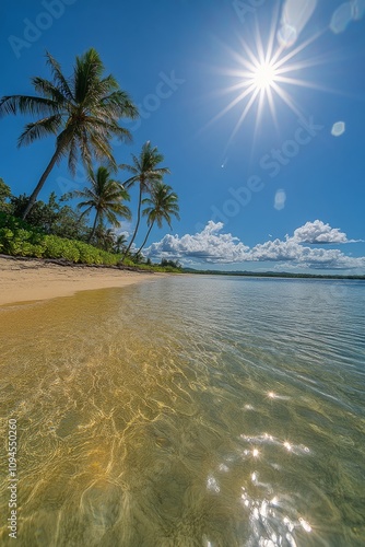 Bright sunlight illuminates a serene tropical beach with clear water and palm...