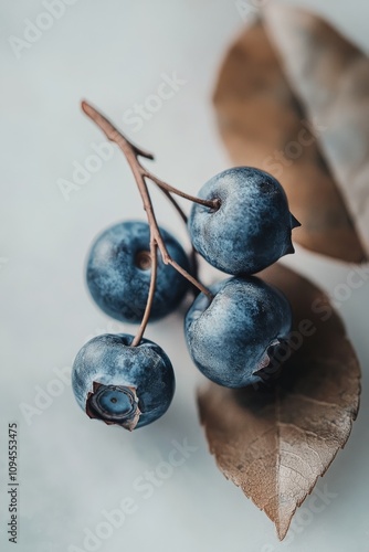 Blueberries grow on a branch surrounded by green leaves in a vibrant natural ...