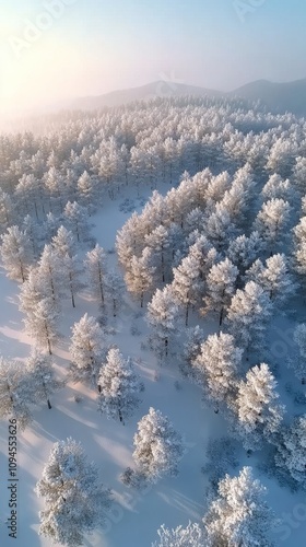 Winter landscape of a snow covered forest captured from above during a cloudy...