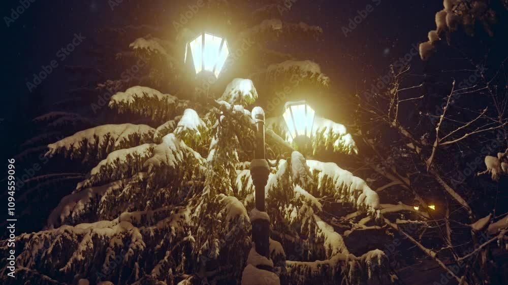 On a serene winter night, the landscape showcases snowladen trees, illuminated by softly glowing lanterns On a serene winter night, the landscape showcases snowladen trees, illuminated by softly glowing lanterns
