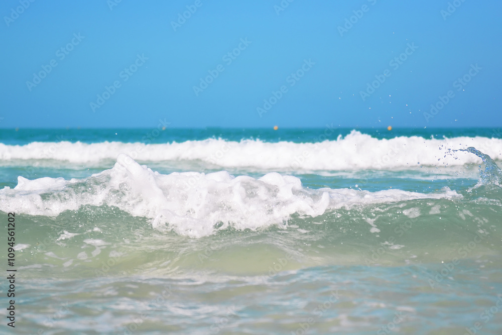 Fototapeta premium Ocean sunset and sunrise in the Dominican Republic with palm trees