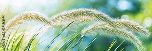Black cat among tall grass under clear blue sky in a serene natural setting