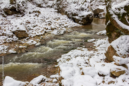 a stream with muddy water in a winter forest