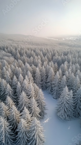 Winter landscape of a snow covered forest captured from above during a cloudy...