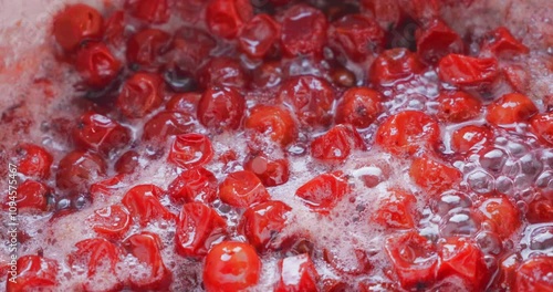 boiling red rowan berries in bubbling liquid, showcasing juice release and dynamic textures. Used in traditional medicine for immune health, antioxidant research, vitamin C extraction, and culinary sy