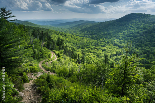 A panoramic view of a lush forest with winding hiking trails, inviting exploration and adventure for fitness enthusiasts.
