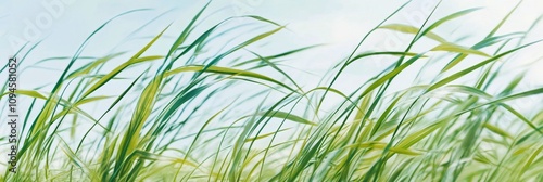 Black cat among tall grass under clear blue sky in a serene natural setting