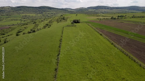 landscape in the summer