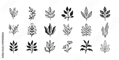 Hand drawn outline doodle floral elements leaf set. Plant leaves vector design