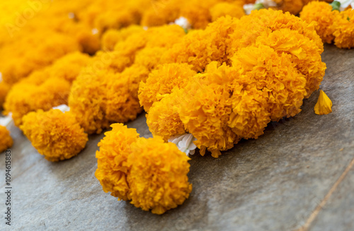 close up on Marigold flowers, Marigold Garland, Marigold garland for worship Buddha, Buddhist signs for worship graven image, Marigold flowers for hallow graven image. photo