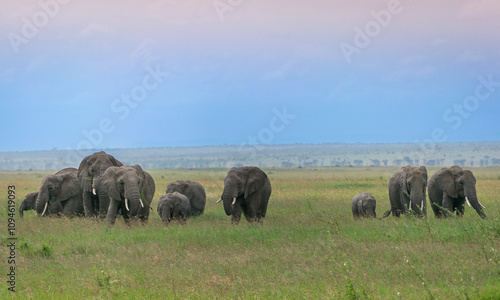 Simiyu is an administrative region of Tanzania. It was created in March 2012, being until then part of the Shinyanga Region. Its capital is the city of Bariadi.