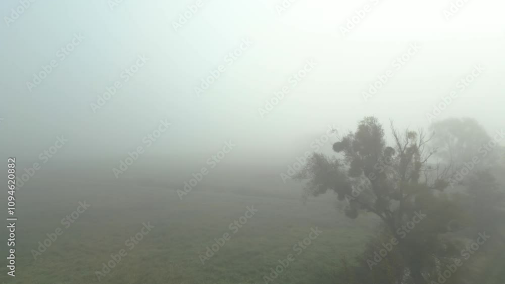 Thick morning fog blankets a quiet field creating a serene and mysterious atmosphere Thick morning fog blankets a quiet field creating a serene and mysterious atmosphere