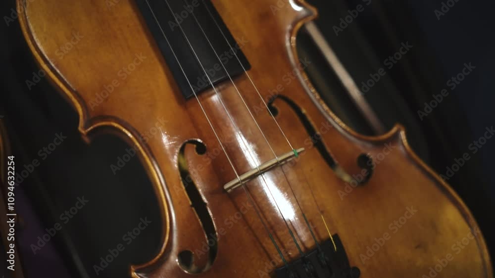 Close-up cinematic violin detail the body and string Close-up cinematic violin detail the body and string