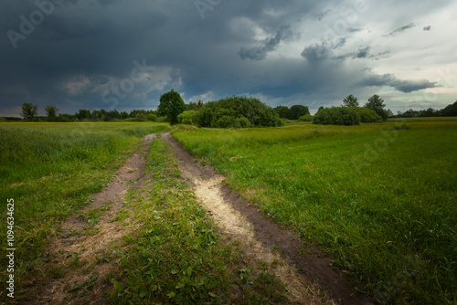 Dark storm cloud over meadow with dirt road, Nowiny, Lubelskie, Poland