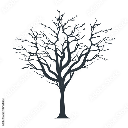 silhouette of a tree