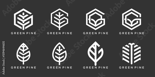 Letter G Pine Green Leaf Logo Icon, Hexagon Drip Design Graphic Vector Template