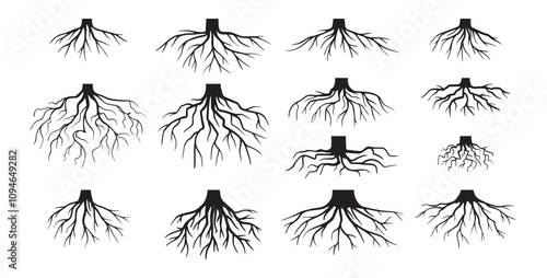 Various realistic tree roots, shrub roots. Parts of plant, root system tree stump. Dendrology, woody plants. Sketch doodle drawing.