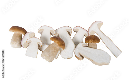 Halves of porcini mushrooms isolated on white background photo