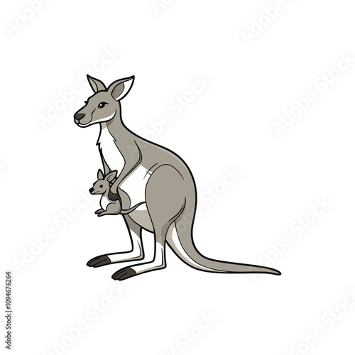 kangaro vector art and illustration