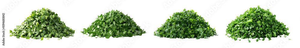 Fresh Chopped Cilantro on Transparent Background Fresh Chopped Cilantro on Transparent Background