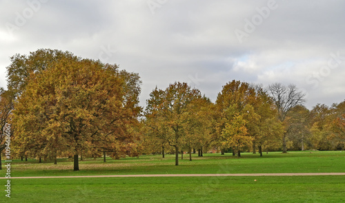 Londra, Autunno e foliage ad Hide Park - Regno Unito