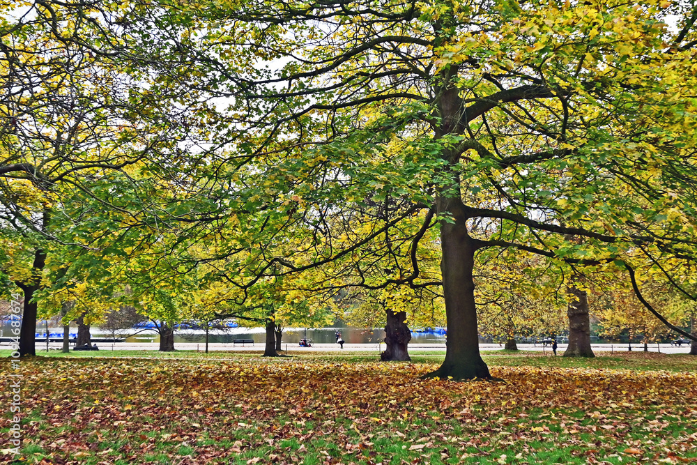 Londra, Autunno e foliage ad Hide Park - Regno Unito Londra, Autunno e foliage ad Hide Park - Regno Unito