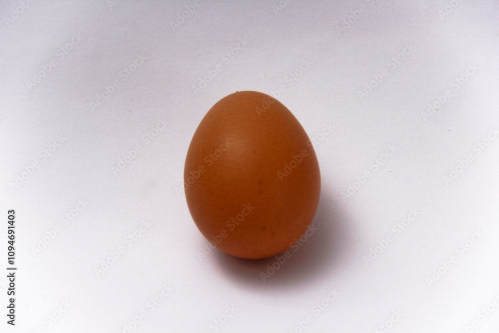 a chicken egg on a white background a chicken egg on a white background
