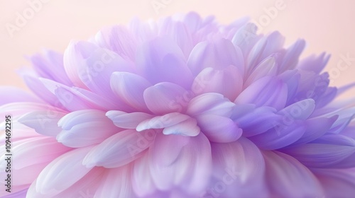 Close-up of a pastel purple and pink flower.