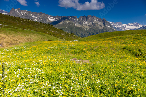 Tour du Mont Blanc beautiful landscapes in the Alps mountains on a sunny summer day. Green grass on the alpine meadow surronded by high mountain peaks of Montbalnc alpine range