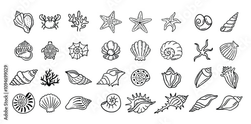 Shells doodle hand drawn style set. Outline seashells, starfish black outline sketch isolated elements on white background for design clipart template