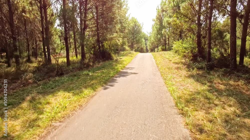 Fahrradweg durch sonnigen Kiefernwald an der Atlantikküste in Frankreich, Sport, Straße, Ziel, Sommer, Urlaub, Radtour, Fitness, Landschaft
Fahrradweg durch sonnigen Kiefernwald an der Atlantikküste in Frankreich, Sport, Straße, Ziel, Sommer, Urlaub, Radtour, Fitness, Landschaft