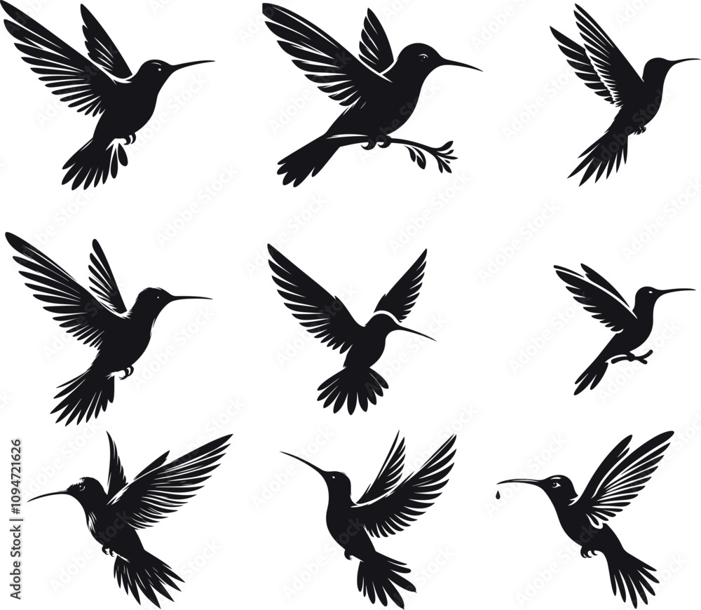 Fototapeta premium humming bird set vector illustration