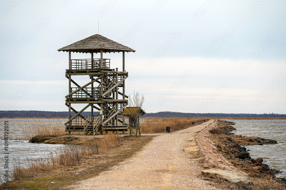 Scenic wooden observation tower overlooking a tranquil lake during a cloudy day Scenic wooden observation tower overlooking a tranquil lake during a cloudy day