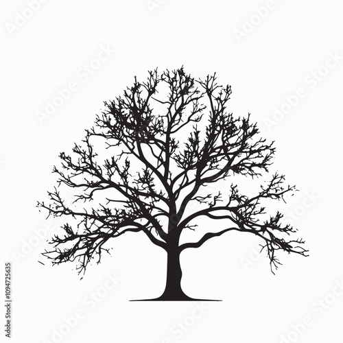 Natural Beech Tree Silhouette for Eco-Friendly Themes