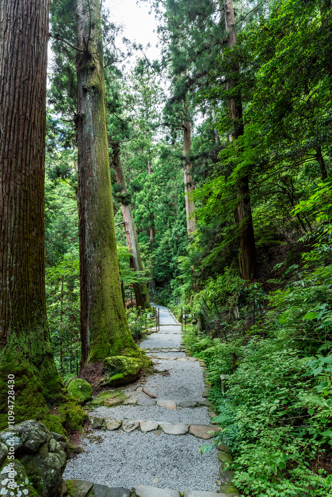 女人高野室生寺 奥之院へ続く参道 　奈良県宇陀市室生