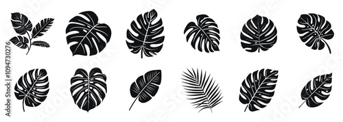 Black and white tropical leaves and plants in various shapes and patterns, vector illustration set. Includes monstera, palm, and other exotic leaves in a stylized, simple design.