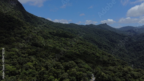 Aerial view of the atlantic forest