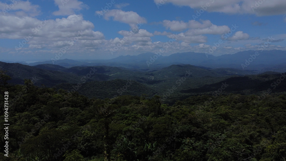 Obraz premium Aerial view of the atlantic forest