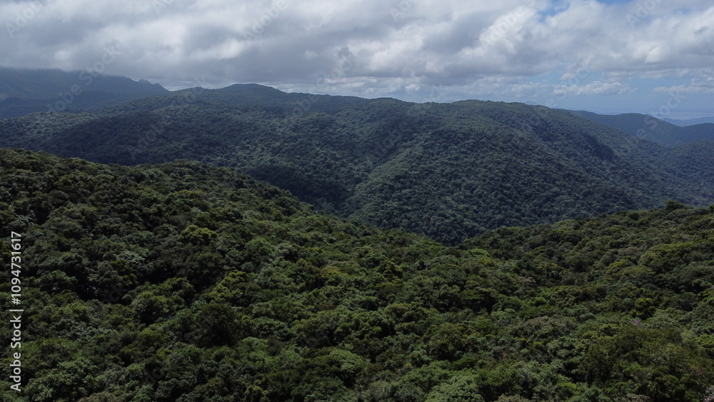 Obraz premium Aerial view of the atlantic forest