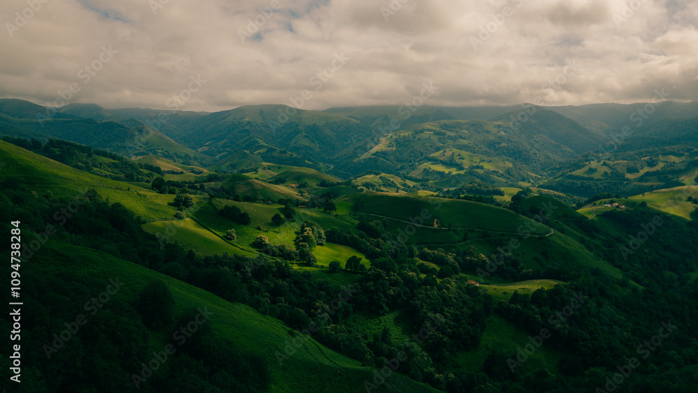 Fototapeta premium A breathtaking view of lush green hills unfolds, capturing the serenity of the French Pyrenees on the Camino de Santiago.