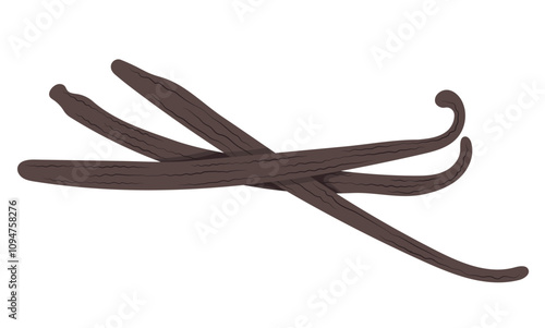 Dry Vanilla Pods Illustration Isolated on White Background