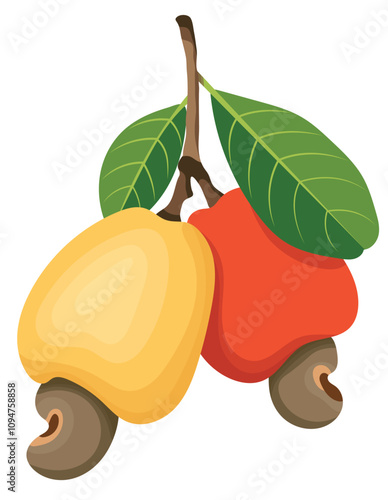 Fresh Cashew Fruits with Branch and Leaves Illustration Isolated on White Background