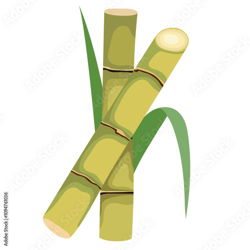 Fresh Sugar Cane Stalks Illustration Isolated on White Background