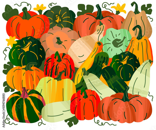 Concept of bright pumpkins and zucchini. Autumn harvest. Vector illustration