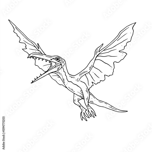 Graphics vector black and white dinosaur. Black line illustration with pterodactyl in the ink style.